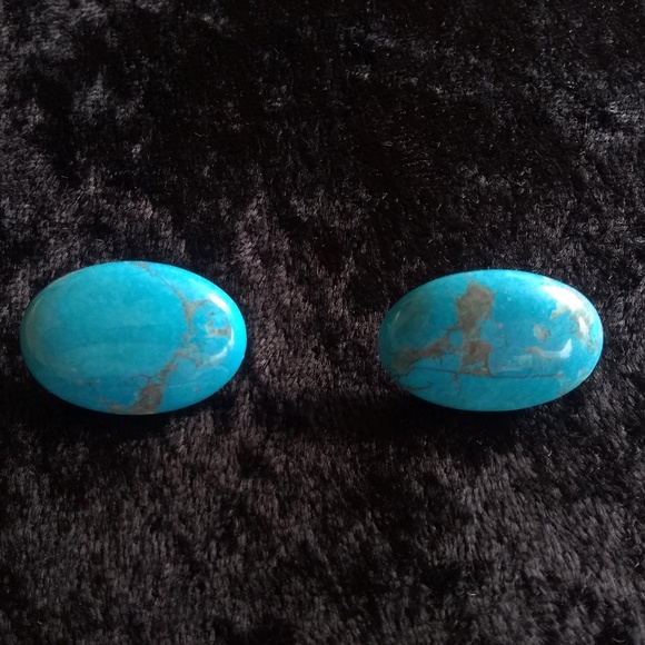 Vintage Karla Jordan - Blue Howlite Oval Earrings - Picture 1 of 3